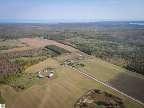 Tiny photo for 7557 Loop Road, Posen, MI 49776 (MLS # 1941188)