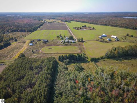 Tiny photo for 7557 Loop Road, Posen, MI 49776 (MLS # 1941188)