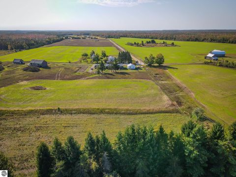 Tiny photo for 7557 Loop Road, Posen, MI 49776 (MLS # 1941188)