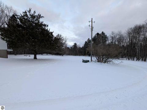 Tiny photo for 17527 110th Avenue, Evart, MI 49631 (MLS # 1941055)
