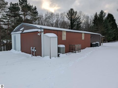 Tiny photo for 17527 110th Avenue, Evart, MI 49631 (MLS # 1941055)