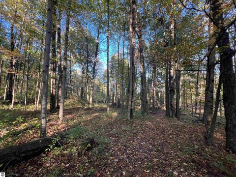 Tiny photo for 7556 210th Avenue, Reed City, MI 49677 (MLS # 1939393)