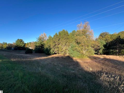 Tiny photo for 7556 210th Avenue, Reed City, MI 49677 (MLS # 1939393)