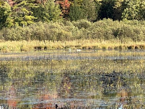 Tiny photo for 7556 210th Avenue, Reed City, MI 49677 (MLS # 1939393)