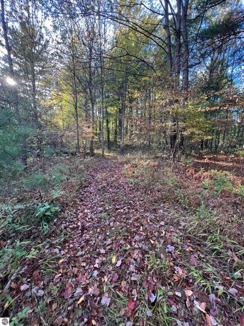 Tiny photo for 7556 210th Avenue, Reed City, MI 49677 (MLS # 1939393)