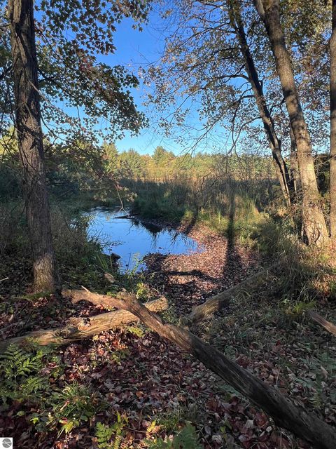 Tiny photo for 7556 210th Avenue, Reed City, MI 49677 (MLS # 1939393)