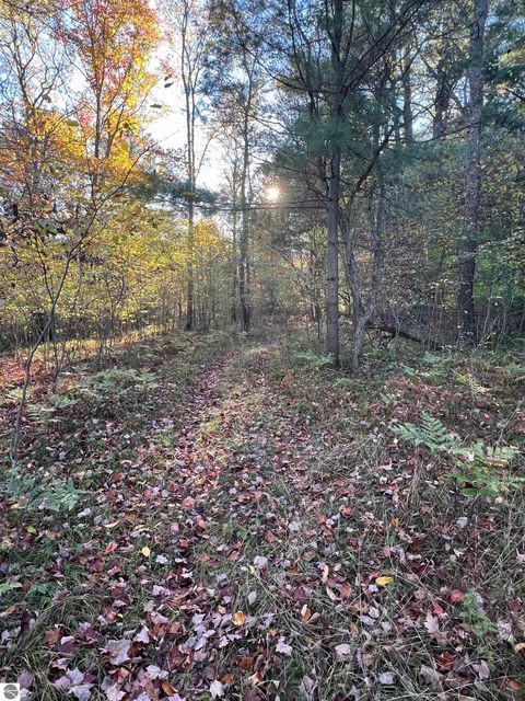 Tiny photo for 7556 210th Avenue, Reed City, MI 49677 (MLS # 1939393)