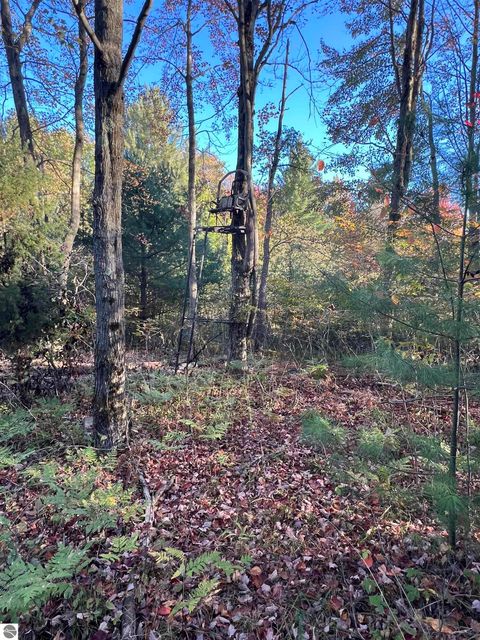 Tiny photo for 7556 210th Avenue, Reed City, MI 49677 (MLS # 1939393)