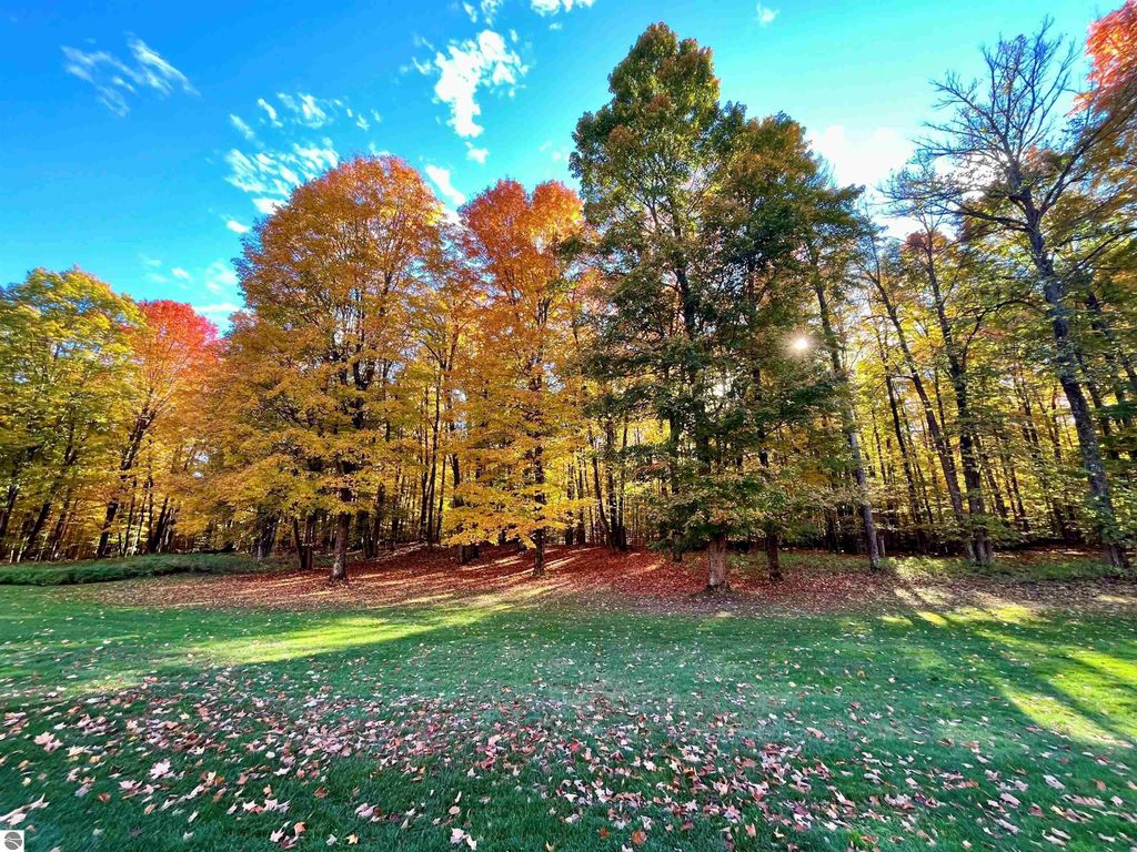 Photo of 82 Troon North #82, Bellaire, MI 49615 (MLS # 1939920)