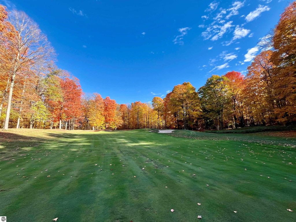 Photo of 82 Troon North #82, Bellaire, MI 49615 (MLS # 1939920)