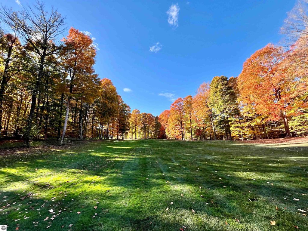 Photo of 82 Troon North #82, Bellaire, MI 49615 (MLS # 1939920)