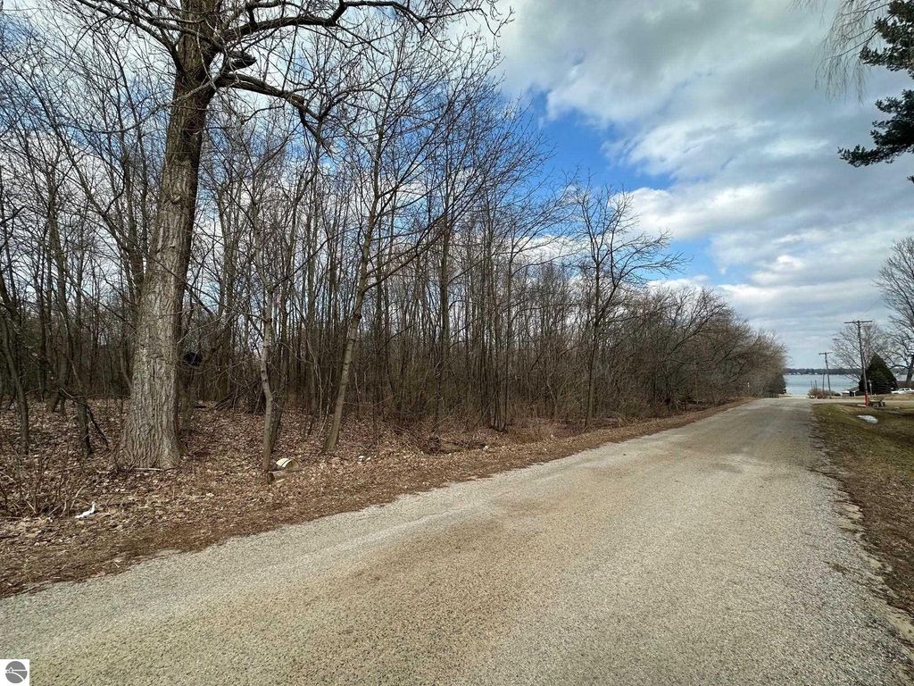 Photo of 10026 Poplar Street, Lake City, MI 49651 (MLS # 1934861)