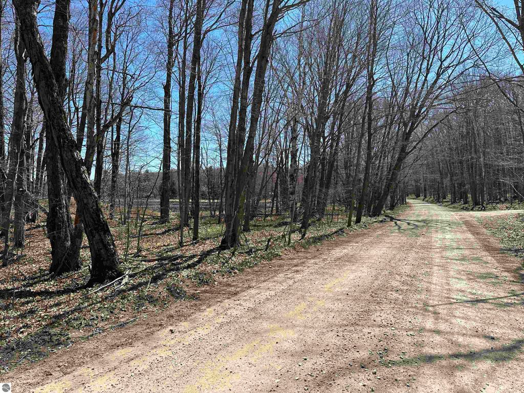 Photo of TBD West Side Drive, Beaver Island, MI 49782 (MLS # 1930431)