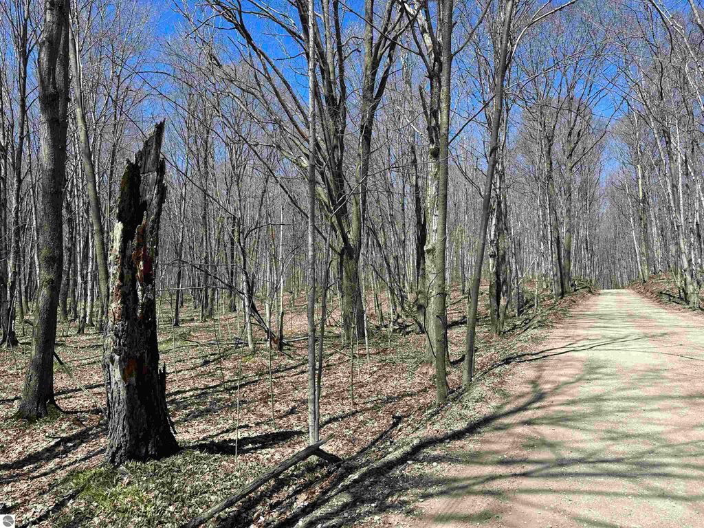 Photo of TBD West Side Drive, Beaver Island, MI 49782 (MLS # 1930431)