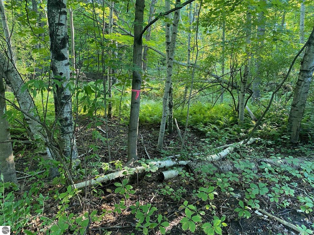 Photo of Allegheny Trail #Mult., Evart, MI 49631 (MLS # 1904518)
