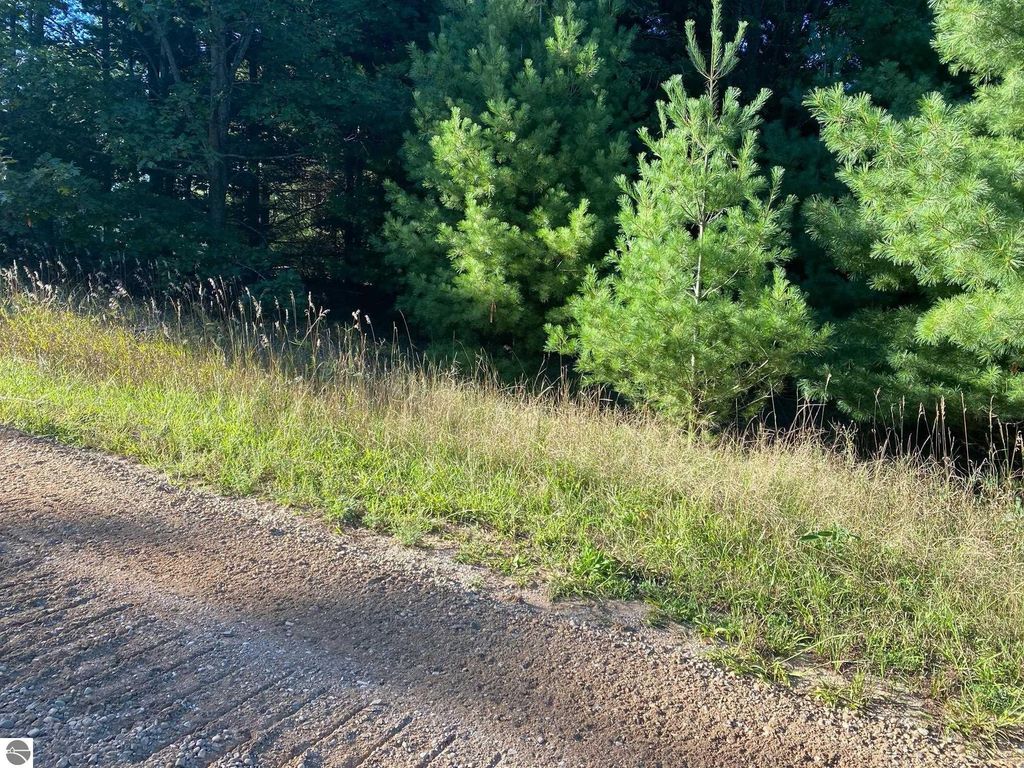 Photo of Allegheny Trail #Mult., Evart, MI 49631 (MLS # 1904518)