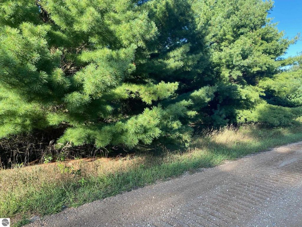 Photo of Allegheny Trail #Mult., Evart, MI 49631 (MLS # 1904518)