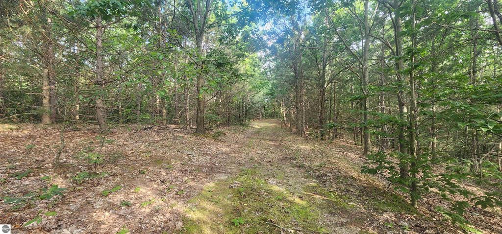 Photo of 00 W Phelps Road, Manton, MI 49663 (MLS # 1937586)