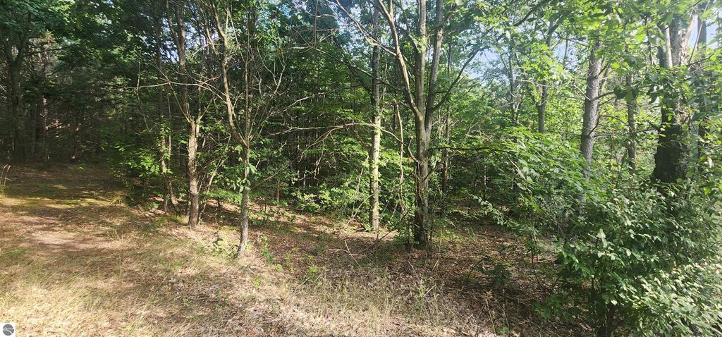 Photo of 00 W Phelps Road, Manton, MI 49663 (MLS # 1937586)