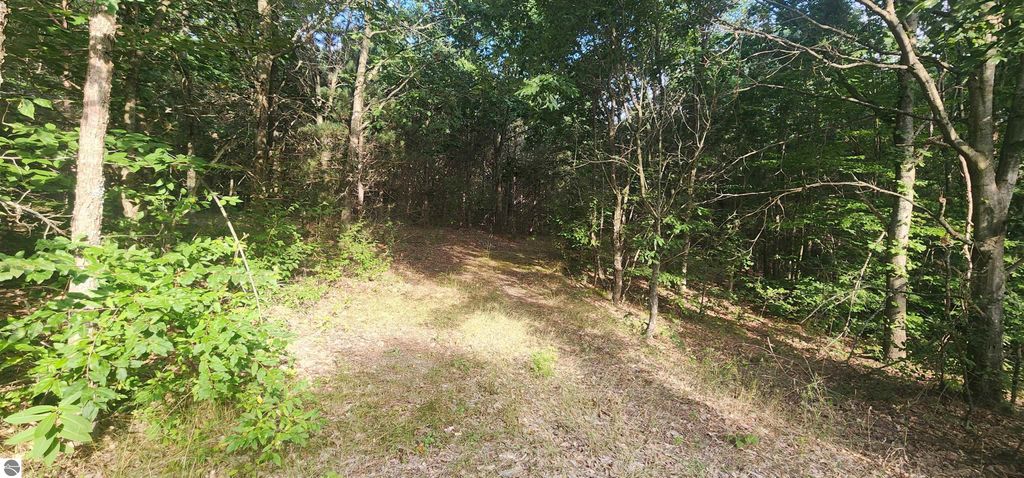 Photo of 00 W Phelps Road, Manton, MI 49663 (MLS # 1937586)