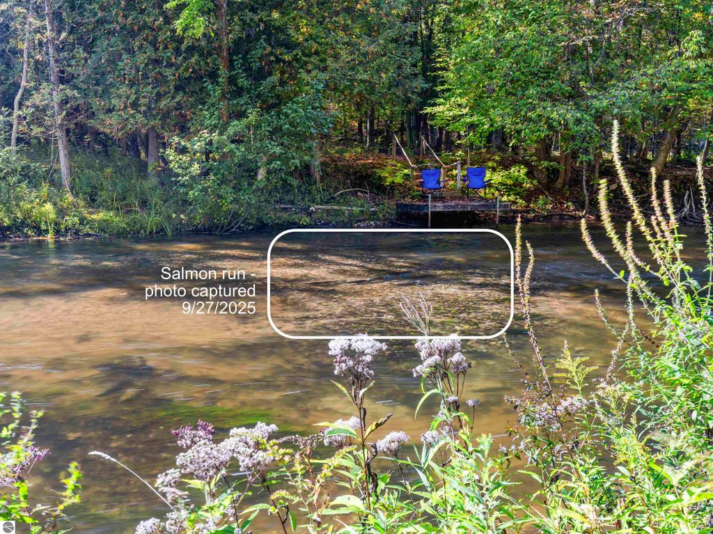 Photo of 15111 Holly Drive, Thompsonville, MI 49683 (MLS # 1939147)