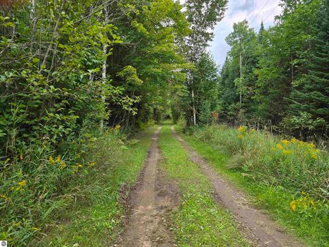 Tiny photo for 1011 Golden Road, SE, Kalkaska, MI 49646 (MLS # 1938057)