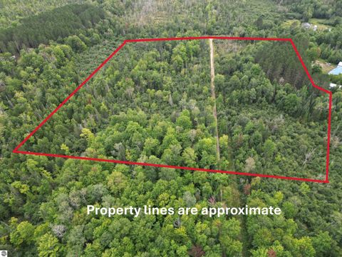 Photo of 1011 Golden Road, SE, Kalkaska, MI 49646 (MLS # 1938057)