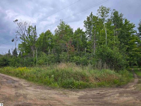 Tiny photo for 1011 Golden Road, SE, Kalkaska, MI 49646 (MLS # 1938057)