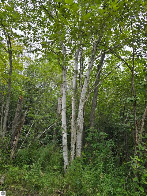Tiny photo for 1011 Golden Road, SE, Kalkaska, MI 49646 (MLS # 1938057)