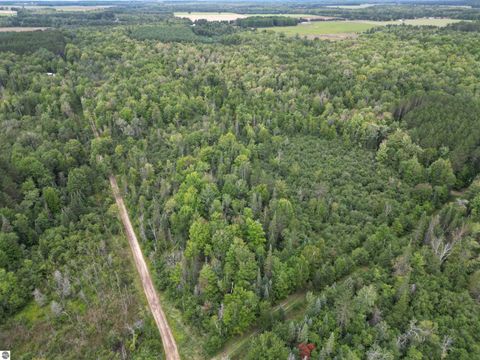 Tiny photo for 1011 Golden Road, SE, Kalkaska, MI 49646 (MLS # 1938057)