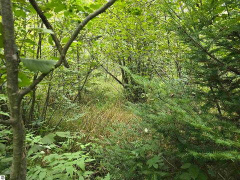Tiny photo for 1011 Golden Road, SE, Kalkaska, MI 49646 (MLS # 1938057)