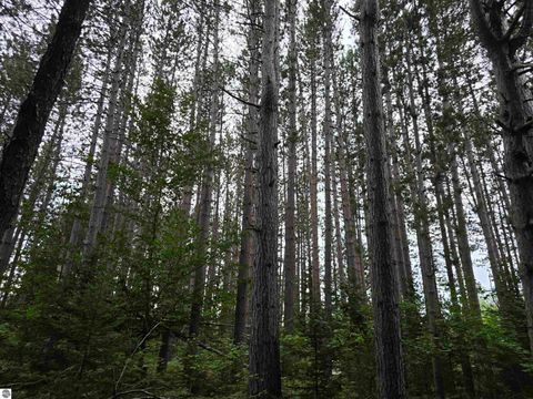 Tiny photo for 1011 Golden Road, SE, Kalkaska, MI 49646 (MLS # 1938057)