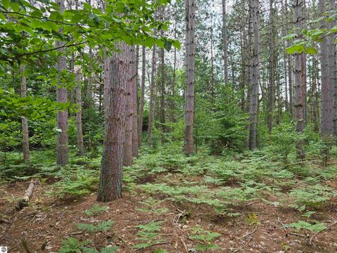 Tiny photo for 1011 Golden Road, SE, Kalkaska, MI 49646 (MLS # 1938057)