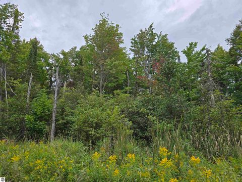 Tiny photo for 1011 Golden Road, SE, Kalkaska, MI 49646 (MLS # 1938057)