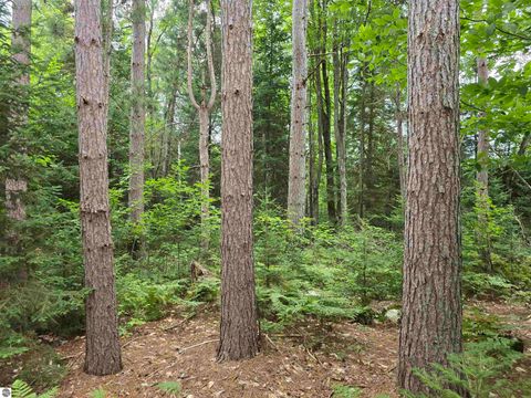Tiny photo for 1011 Golden Road, SE, Kalkaska, MI 49646 (MLS # 1938057)
