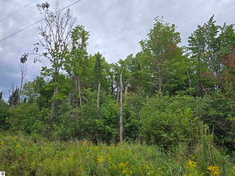 Tiny photo for 1011 Golden Road, SE, Kalkaska, MI 49646 (MLS # 1938057)