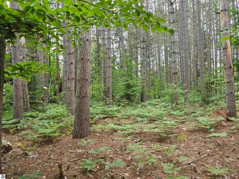 Tiny photo for 1011 Golden Road, SE, Kalkaska, MI 49646 (MLS # 1938057)