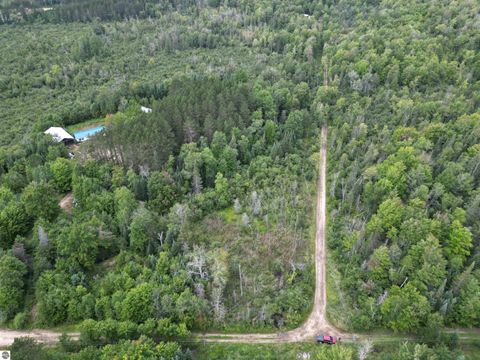 Tiny photo for 1011 Golden Road, SE, Kalkaska, MI 49646 (MLS # 1938057)