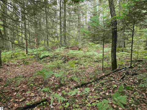Tiny photo for 1011 Golden Road, SE, Kalkaska, MI 49646 (MLS # 1938057)
