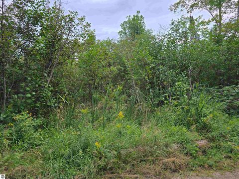 Tiny photo for 1011 Golden Road, SE, Kalkaska, MI 49646 (MLS # 1938057)