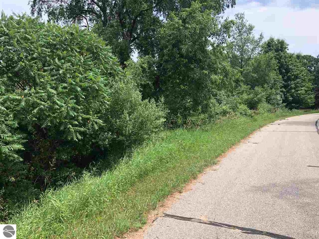 Photo of 10061008 Laredo Drive, Lake Isabella, MI 48893 (MLS # 1924076)