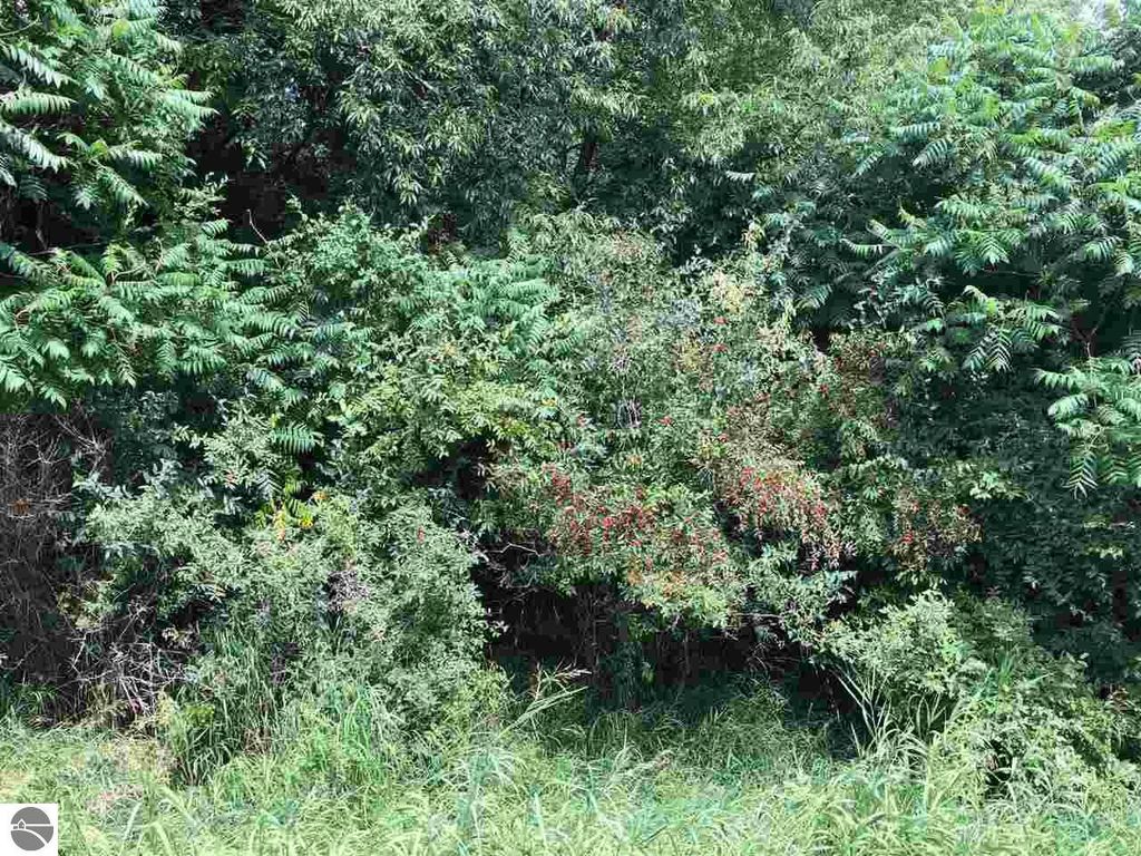 Photo of 10061008 Laredo Drive, Lake Isabella, MI 48893 (MLS # 1924076)