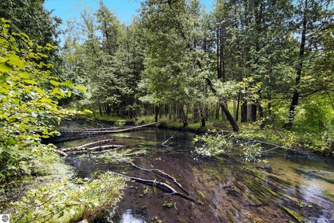 Tiny photo for 5440 Riverview Road, Fife Lake, MI 49633 (MLS # 1939257)