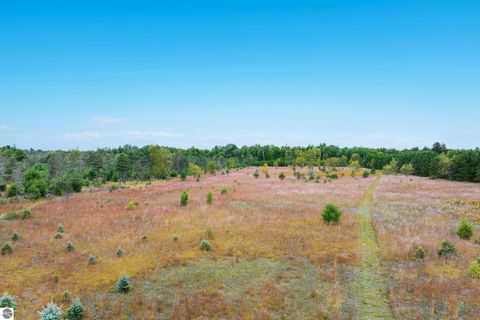Tiny photo for 5440 Riverview Road, Fife Lake, MI 49633 (MLS # 1939257)