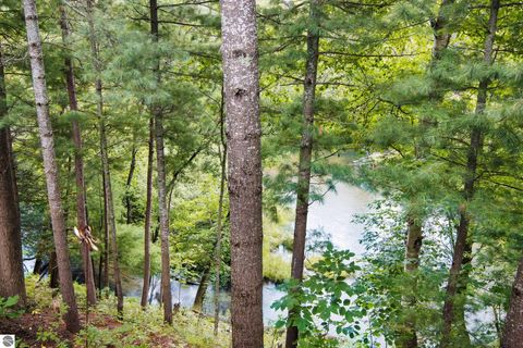 Tiny photo for 5440 Riverview Road, Fife Lake, MI 49633 (MLS # 1939257)