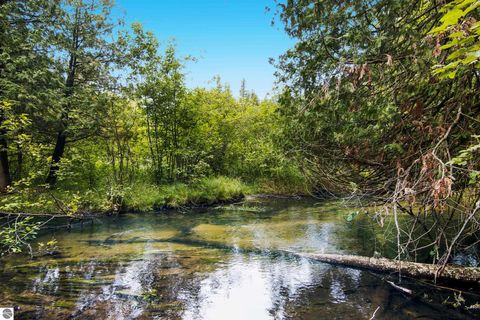 Tiny photo for 5440 Riverview Road, Fife Lake, MI 49633 (MLS # 1939257)