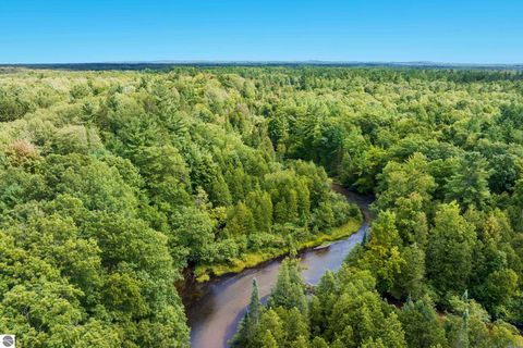 Tiny photo for 5440 Riverview Road, Fife Lake, MI 49633 (MLS # 1939257)