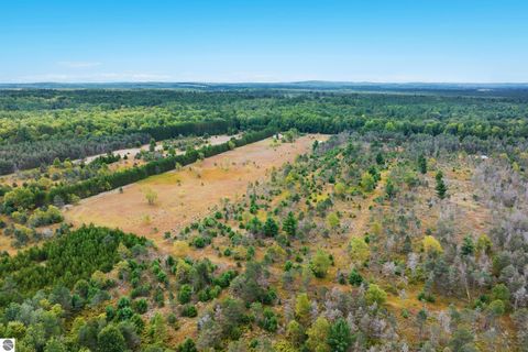 Tiny photo for 5440 Riverview Road, Fife Lake, MI 49633 (MLS # 1939257)
