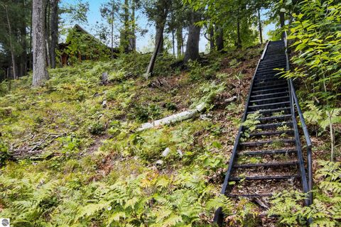 Tiny photo for 5440 Riverview Road, Fife Lake, MI 49633 (MLS # 1939257)