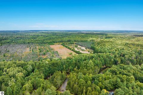 Tiny photo for 5440 Riverview Road, Fife Lake, MI 49633 (MLS # 1939257)